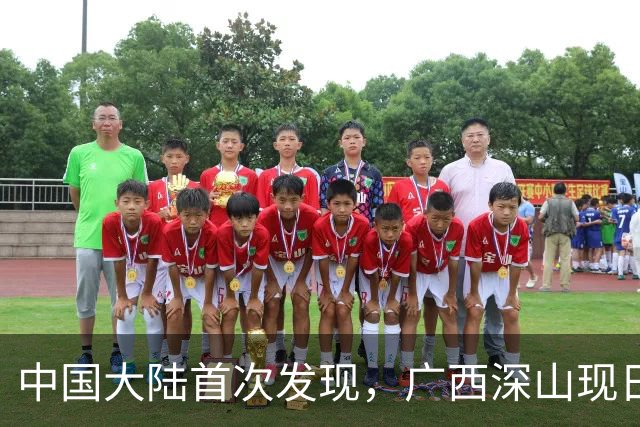 中国大陆首次发现，广西深山现"日本独有兰"，来源至今难解