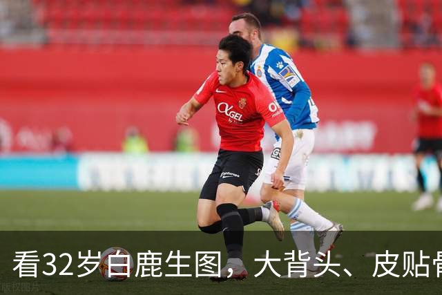看32岁白鹿生图，大背头、皮贴骨，才知内娱的白幼瘦审美有多低级