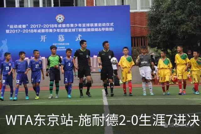 WTA东京站-施耐德2-0生涯7进决赛 将与费尔南德斯争冠